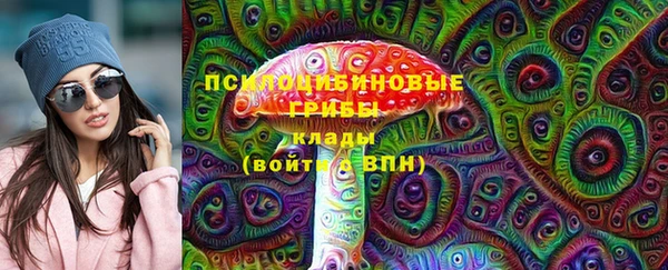 ПСИЛОЦИБИНОВЫЕ ГРИБЫ Аркадак