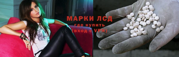 ПСИЛОЦИБИНОВЫЕ ГРИБЫ Аркадак